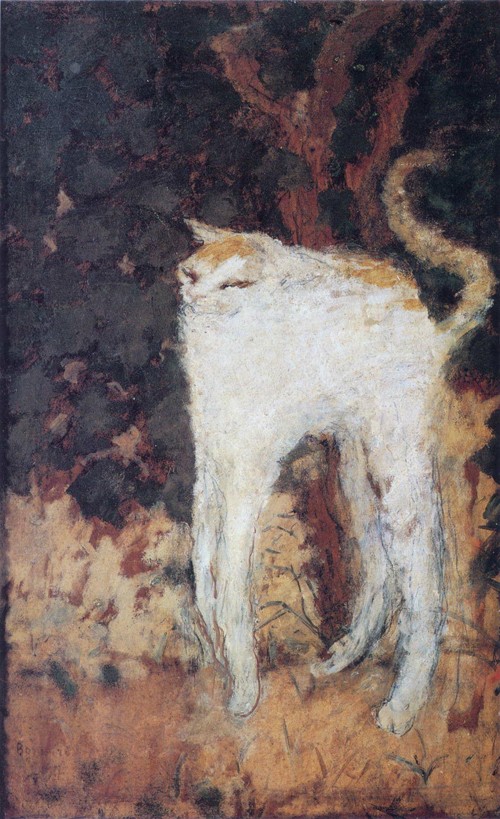 The White Cat