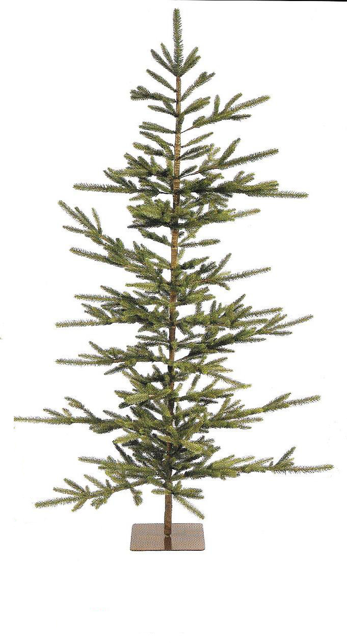 Big Fork Pine